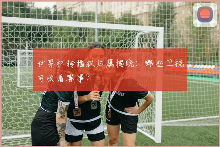 世界杯转播权归属揭晓：哪些卫视可收看赛事？